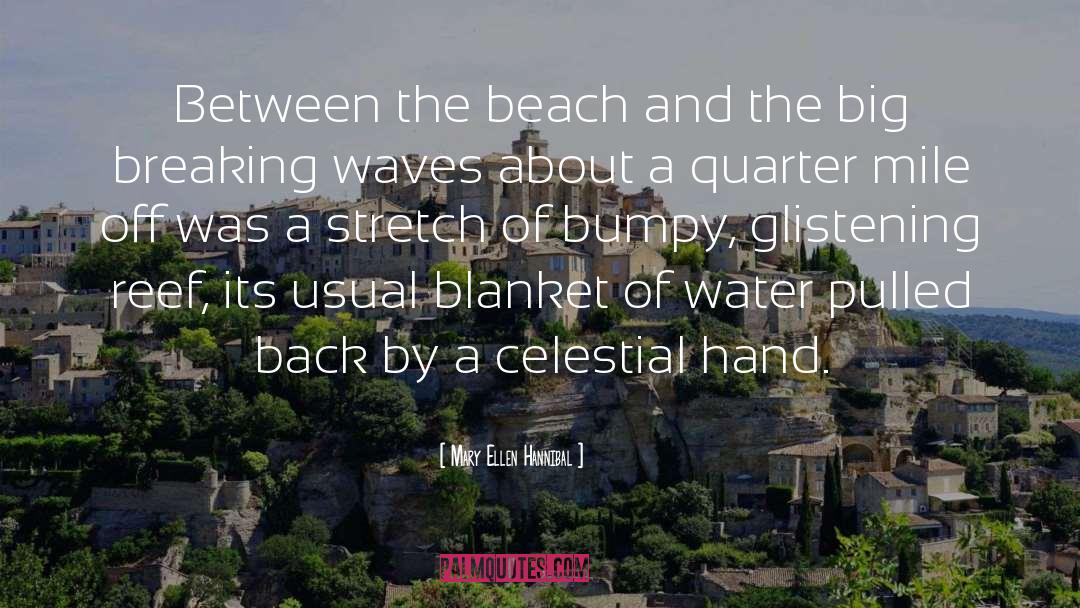 Mary Ellen Hannibal Quotes: Between the beach and the