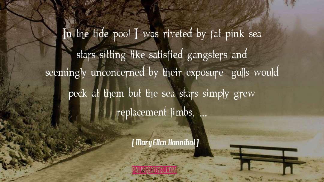 Mary Ellen Hannibal Quotes: In the tide pool I