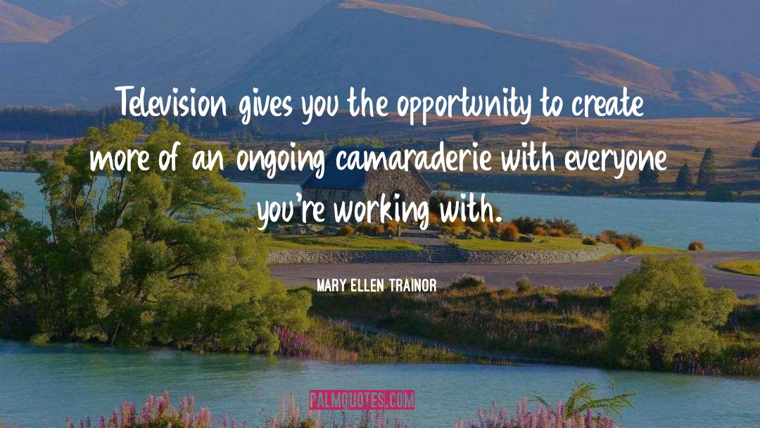 Mary Ellen Trainor Quotes: Television gives you the opportunity