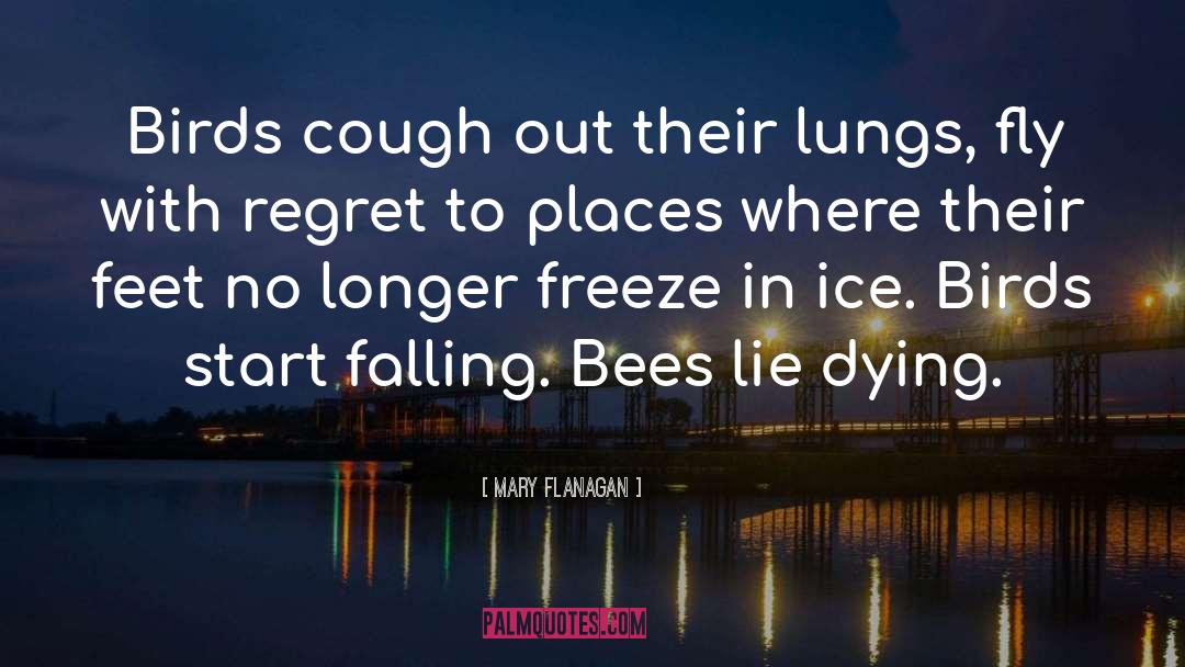 Mary Flanagan Quotes: Birds cough out their lungs,