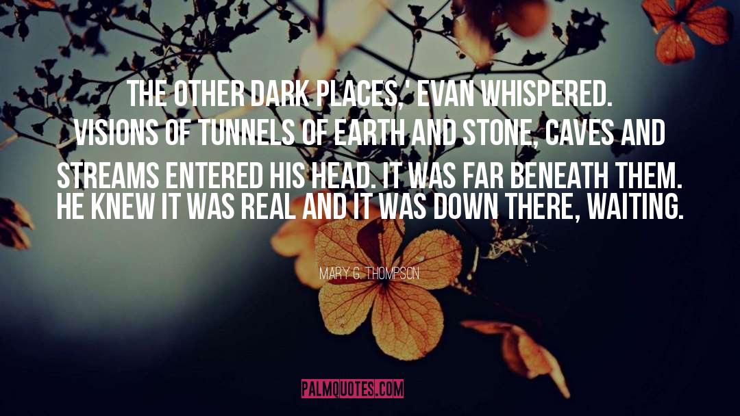 Mary G. Thompson Quotes: The other dark places,' Evan