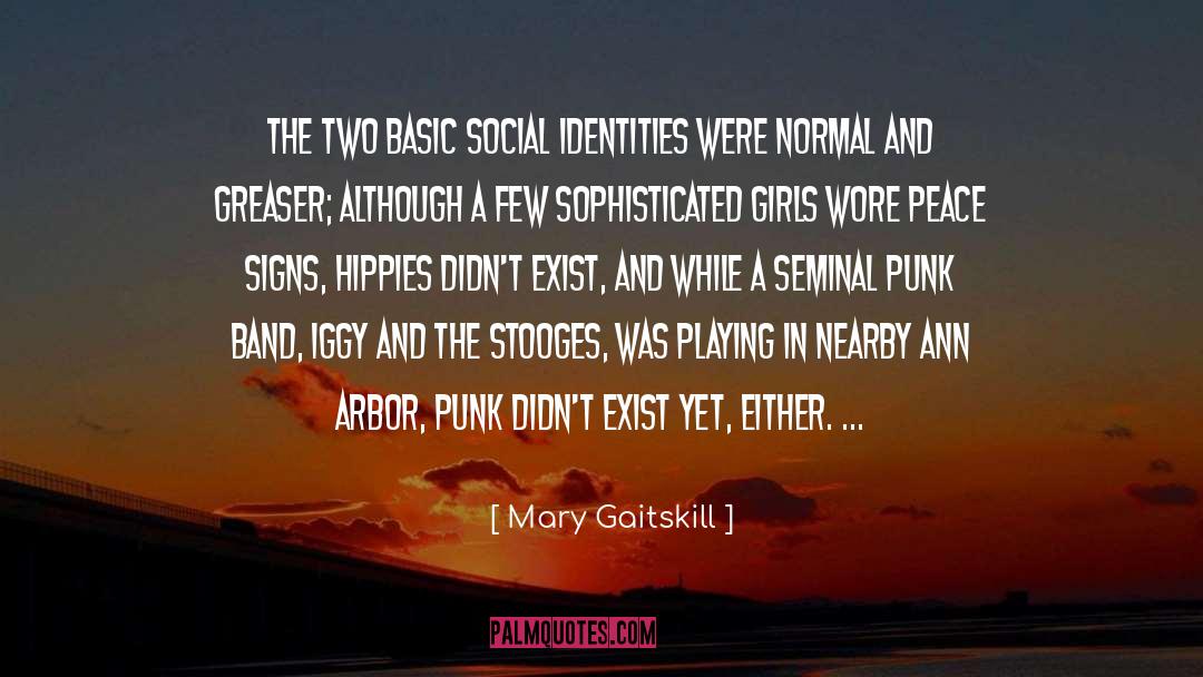 Mary Gaitskill Quotes: The two basic social identities