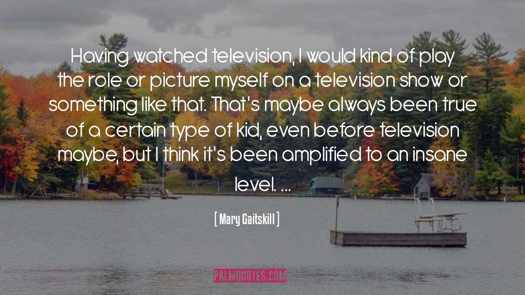 Mary Gaitskill Quotes: Having watched television, I would