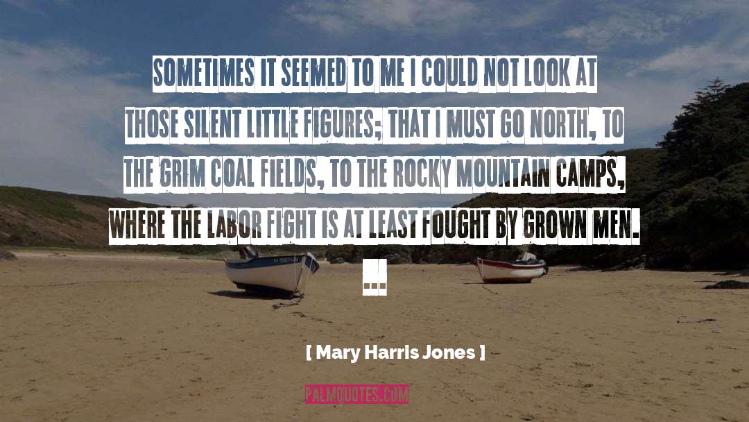 Mary Harris Jones Quotes: Sometimes it seemed to me