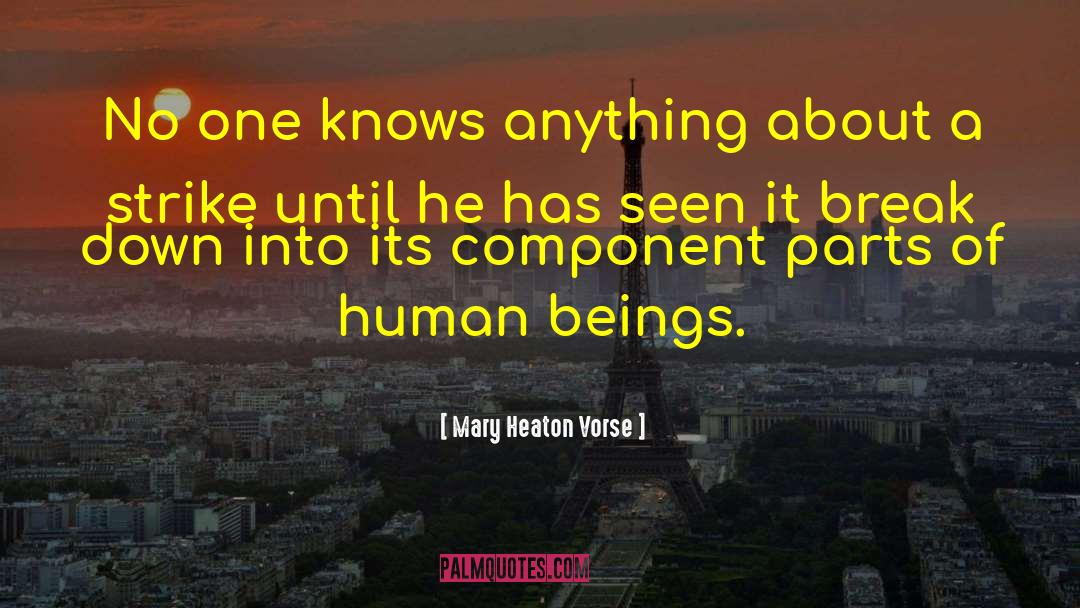 Mary Heaton Vorse Quotes: No one knows anything about