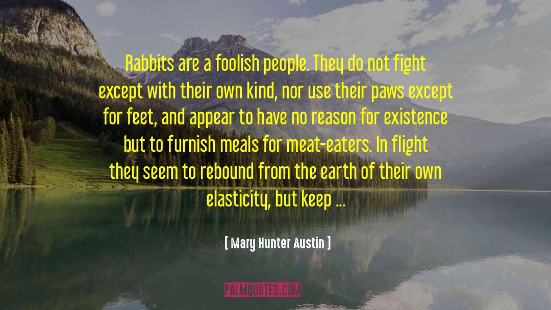 Mary Hunter Austin Quotes: Rabbits are a foolish people.