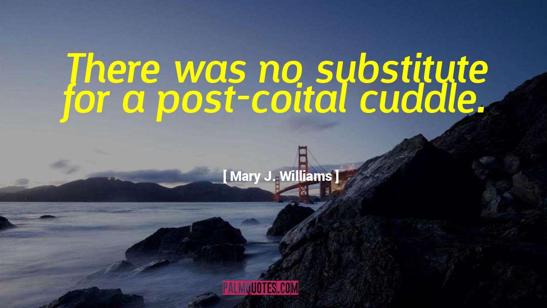 Mary J. Williams Quotes: There was no substitute for