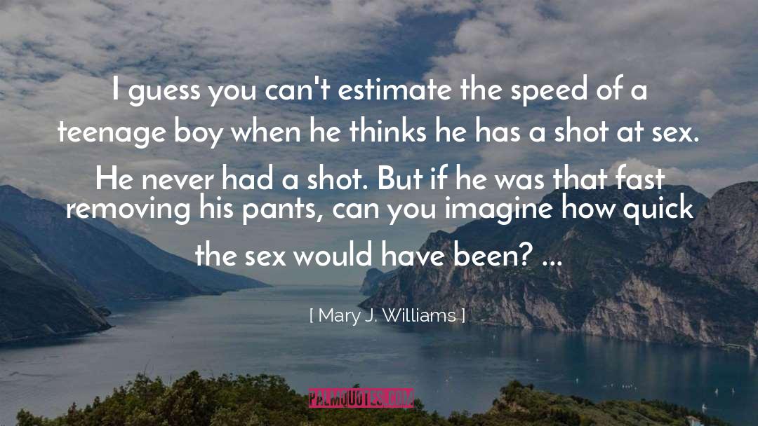 Mary J. Williams Quotes: I guess you can't estimate