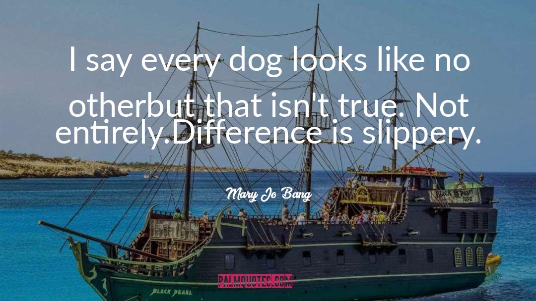 Mary Jo Bang Quotes: I say every dog looks