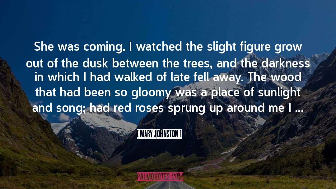 Mary Johnston Quotes: She was coming. I watched