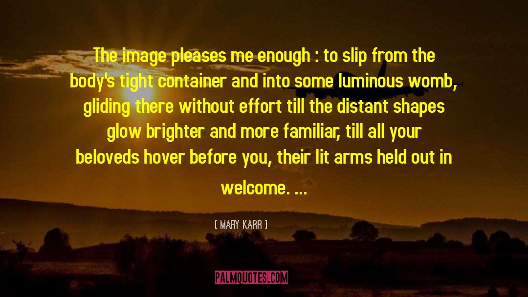 Mary Karr Quotes: The image pleases me enough