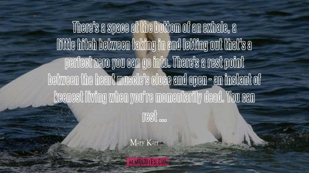 Mary Karr Quotes: There's a space at the