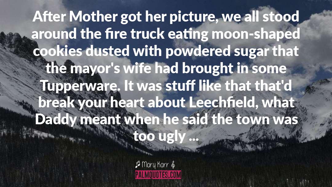 Mary Karr Quotes: After Mother got her picture,