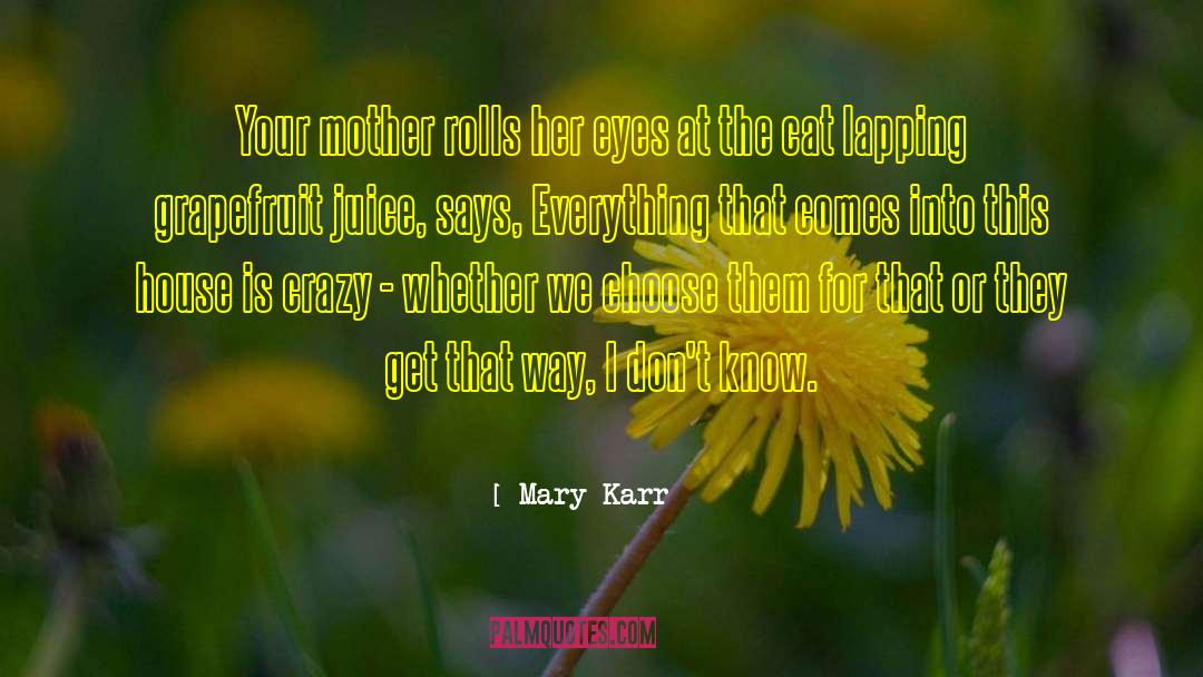 Mary Karr Quotes: Your mother rolls her eyes