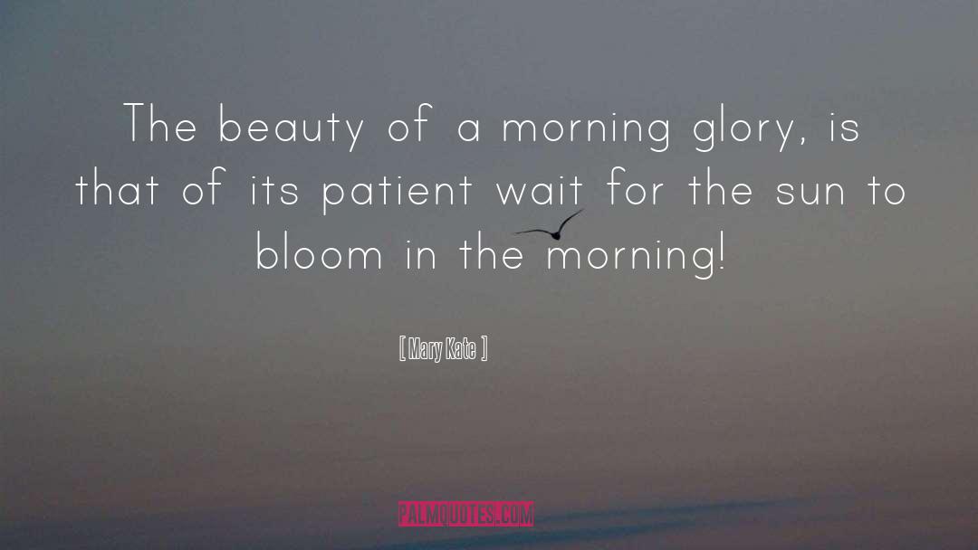 Mary Kate Quotes: The beauty of a morning