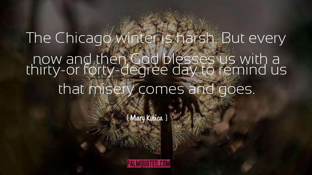 Mary Kubica Quotes: The Chicago winter is harsh.