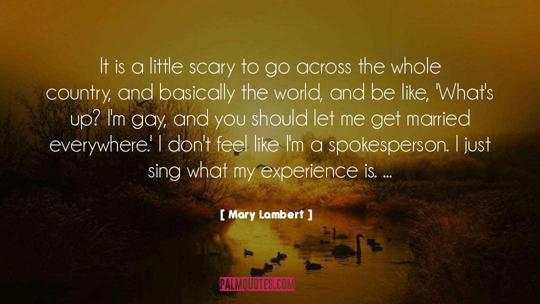 Mary Lambert Quotes: It is a little scary