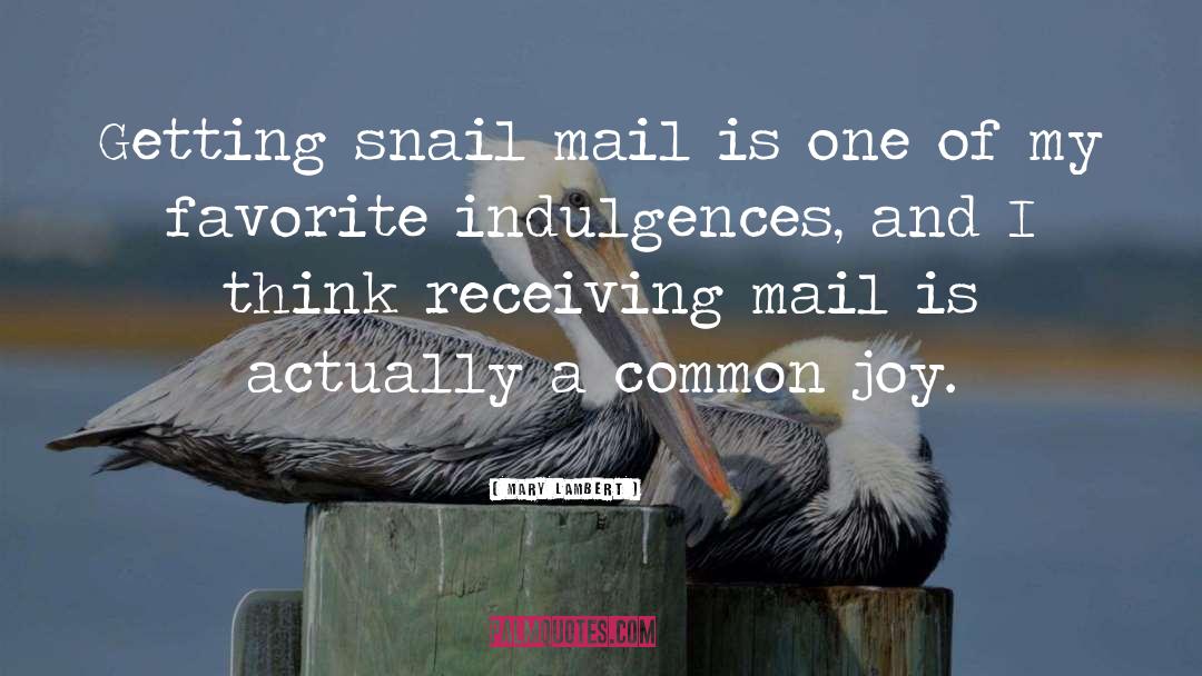 Mary Lambert Quotes: Getting snail mail is one