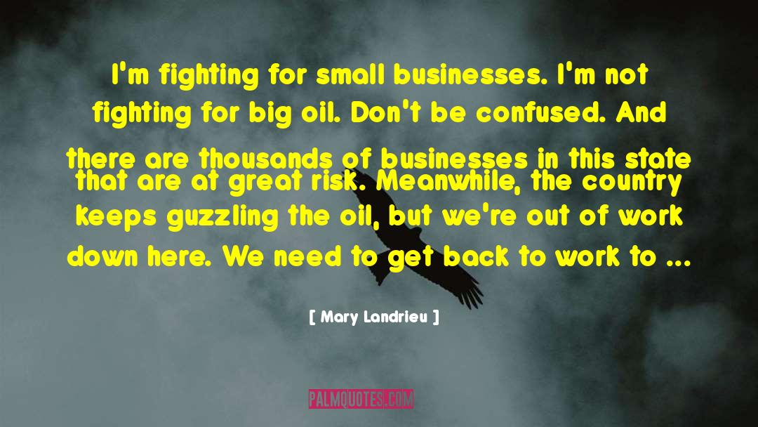 Mary Landrieu Quotes: I'm fighting for small businesses.