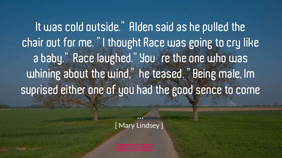 Mary Lindsey Quotes: It was cold outside.