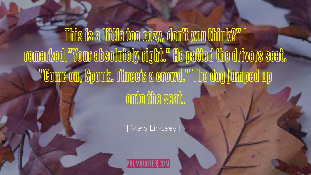Mary Lindsey Quotes: This is a little too
