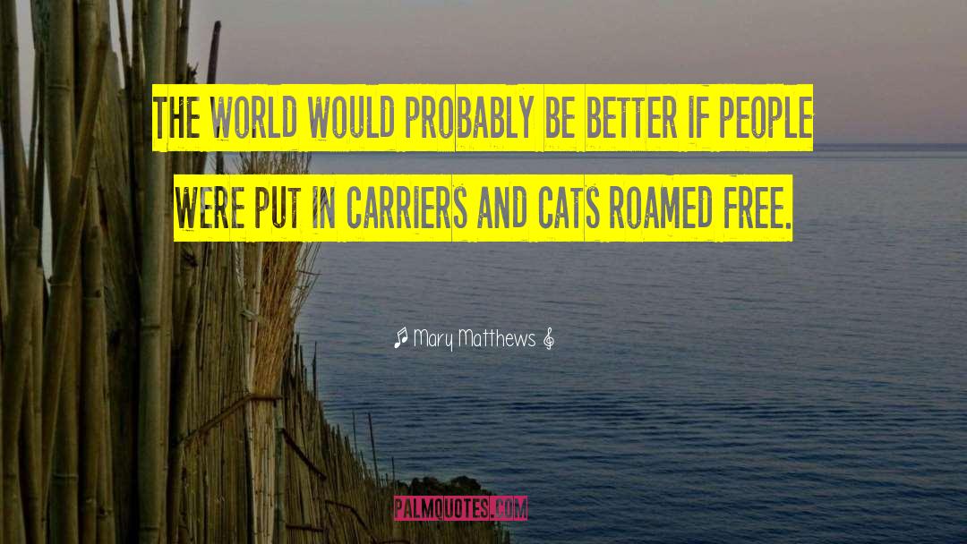 Mary Matthews Quotes: The world would probably be