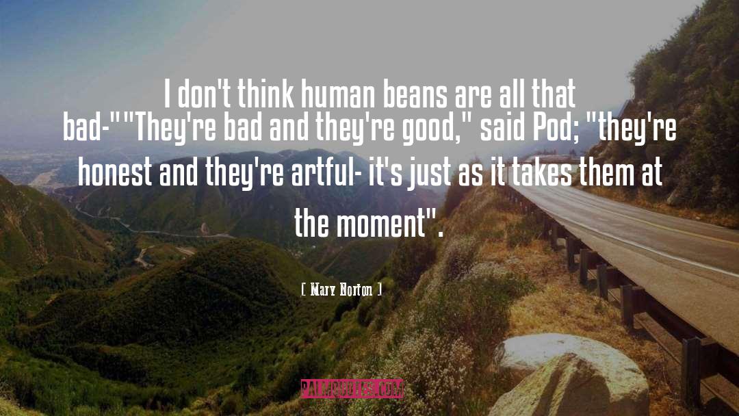 Mary Norton Quotes: I don't think human beans
