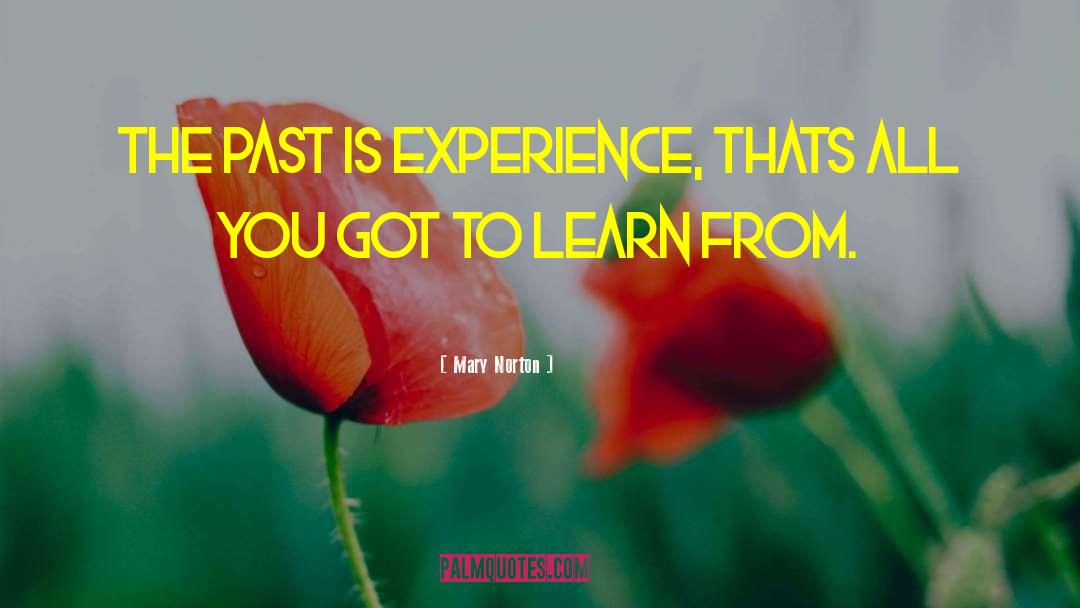 Mary Norton Quotes: The Past is Experience, Thats