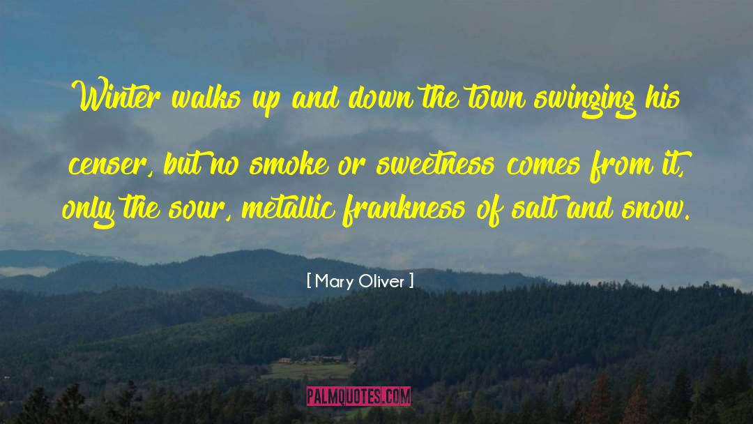 Mary Oliver Quotes: Winter walks up and down