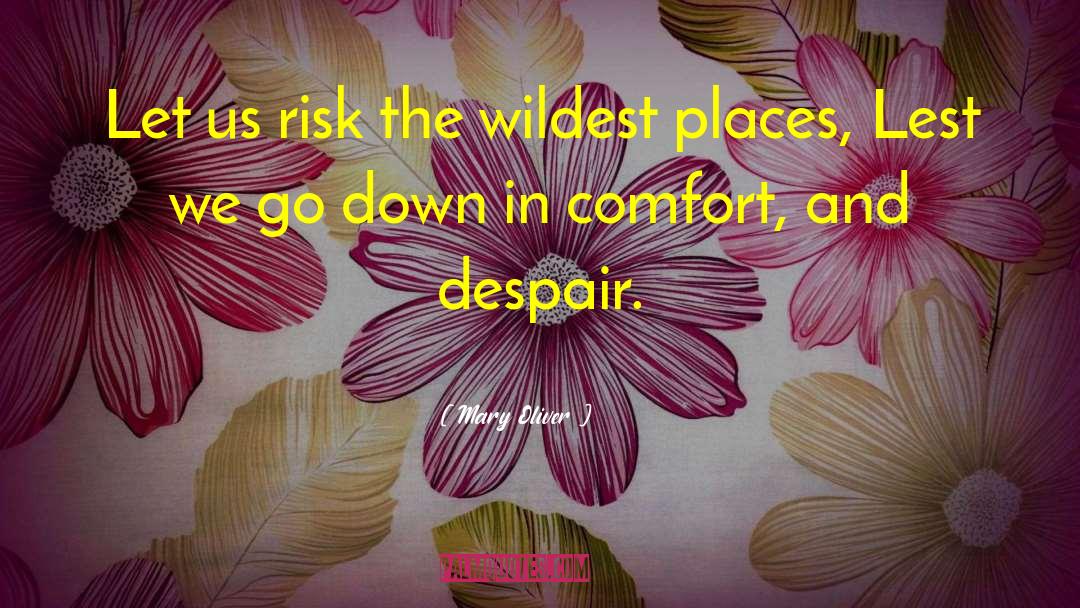 Mary Oliver Quotes: Let us risk the wildest