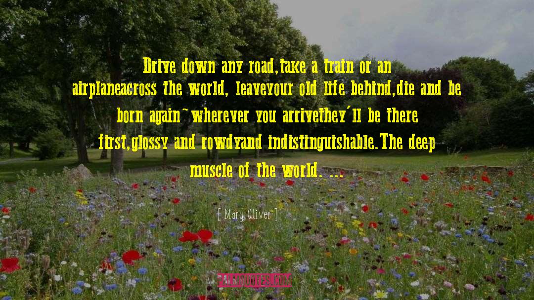 Mary Oliver Quotes: Drive down any road,<br /><br
