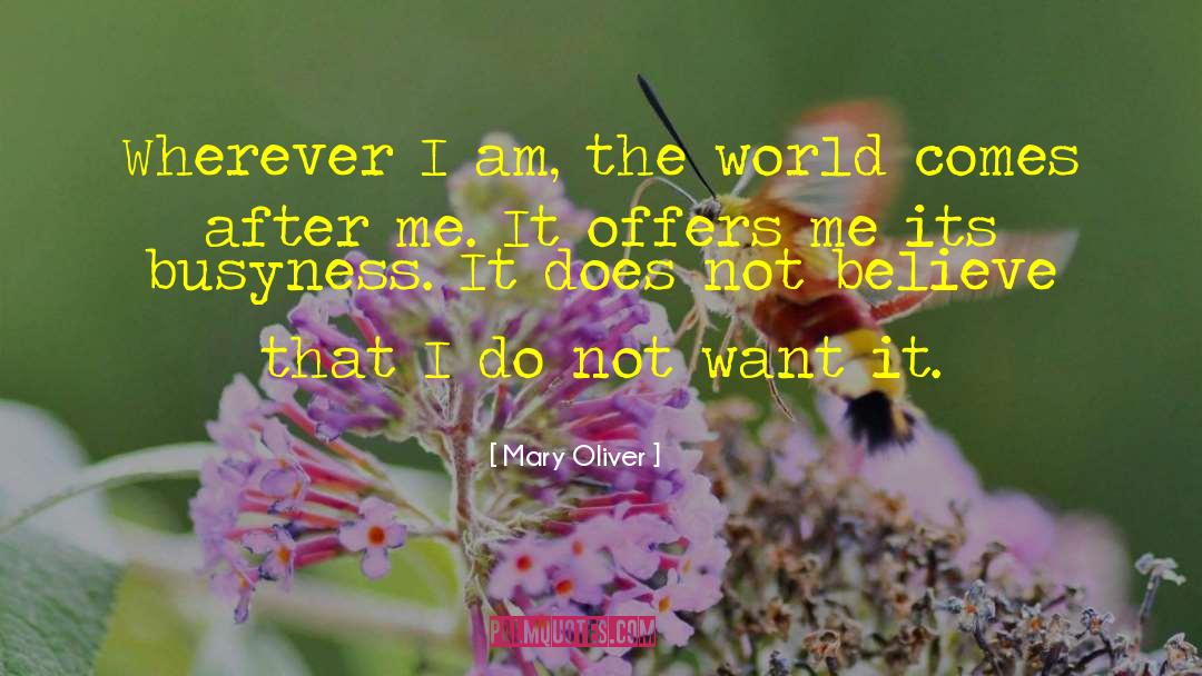 Mary Oliver Quotes: Wherever I am, the world