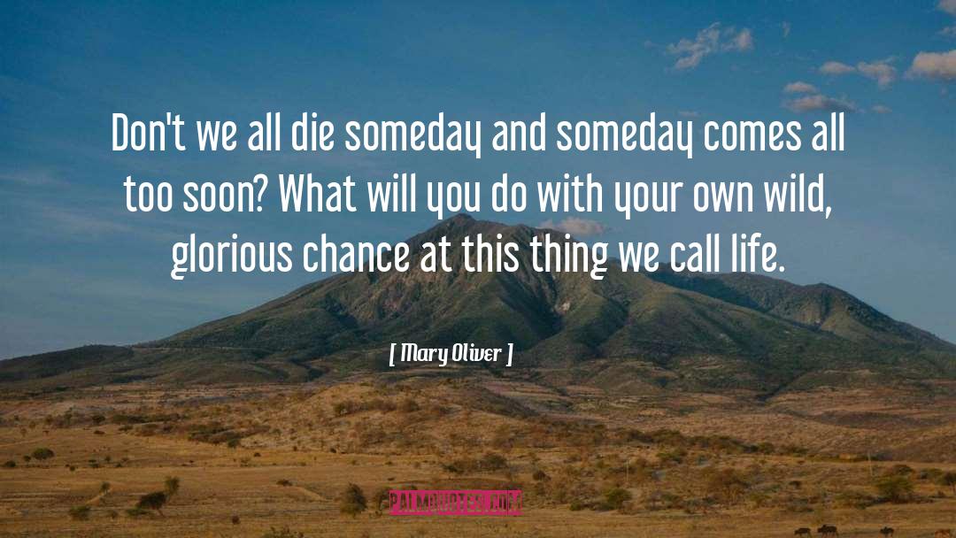 Mary Oliver Quotes: Don't we all die someday