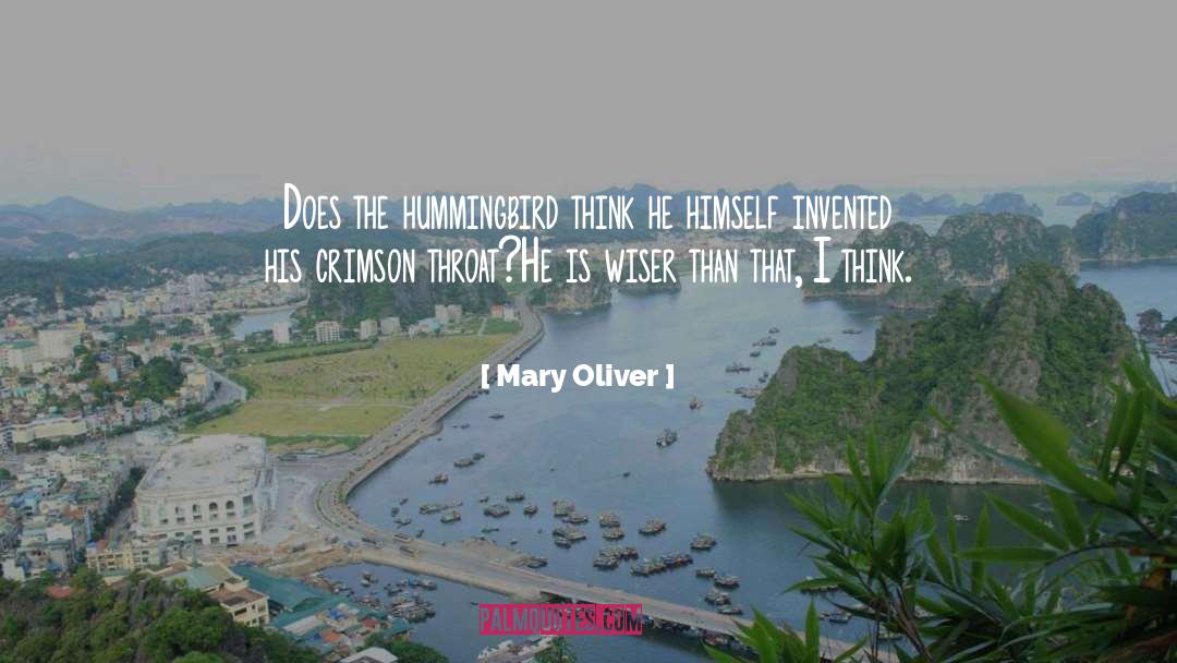 Mary Oliver Quotes: Does the hummingbird think he