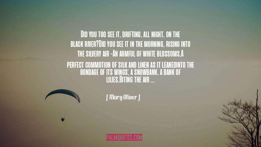 Mary Oliver Quotes: Did you too see it,