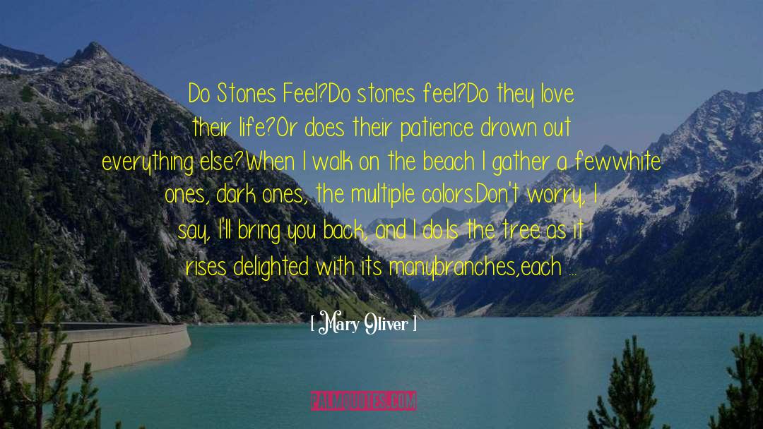 Mary Oliver Quotes: Do Stones Feel?<br>Do stones feel?<br>Do