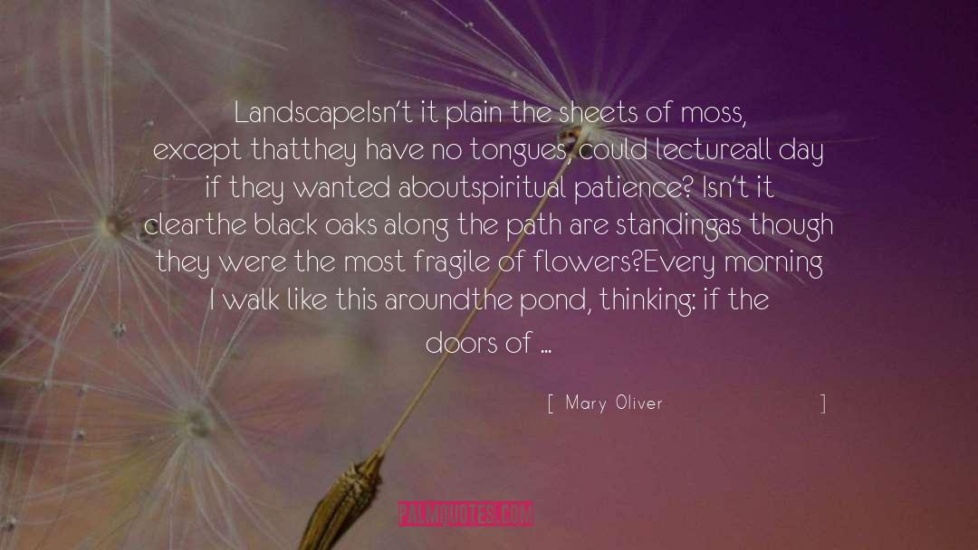 Mary Oliver Quotes: Landscape<br>Isn't it plain the sheets