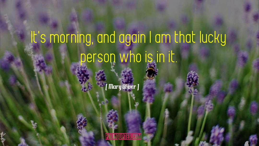 Mary Oliver Quotes: It's morning, and again I