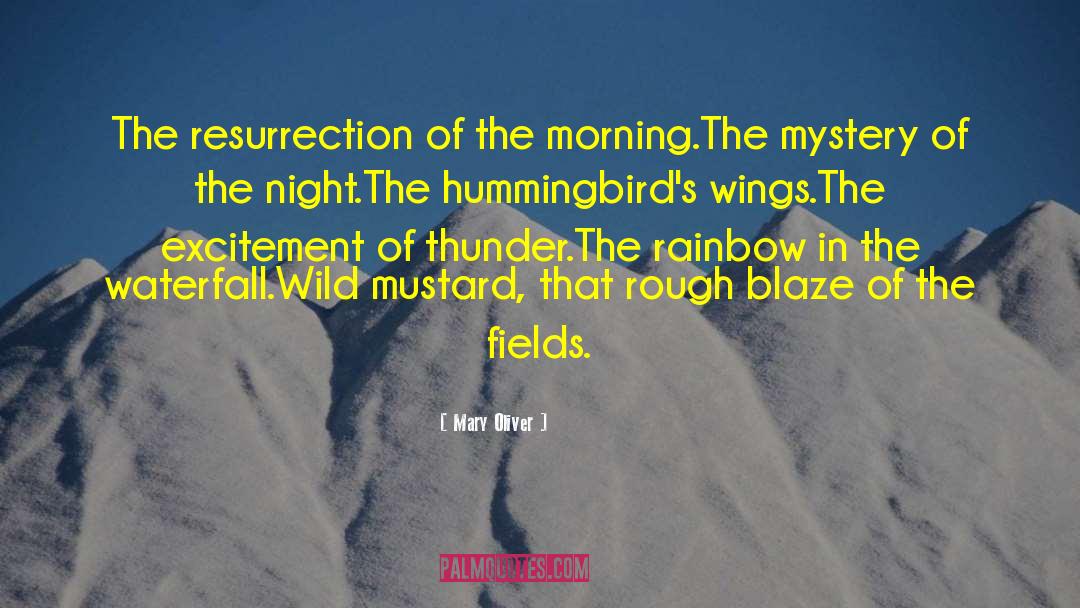 Mary Oliver Quotes: The resurrection of the morning.<br>The