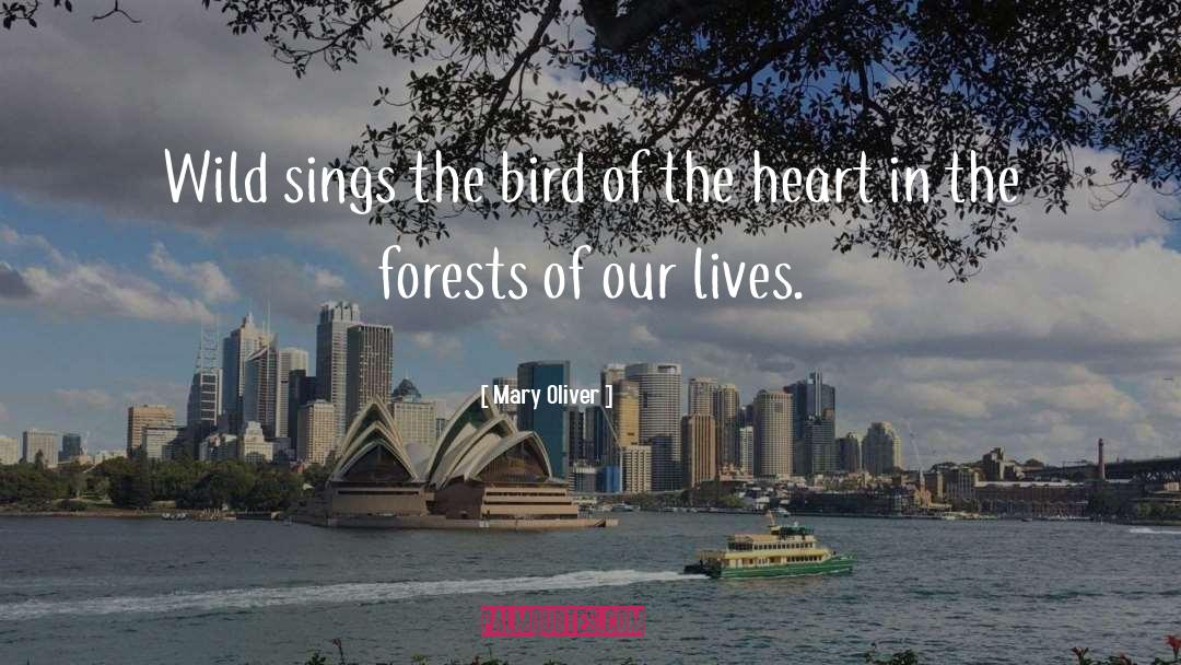 Mary Oliver Quotes: Wild sings the bird of