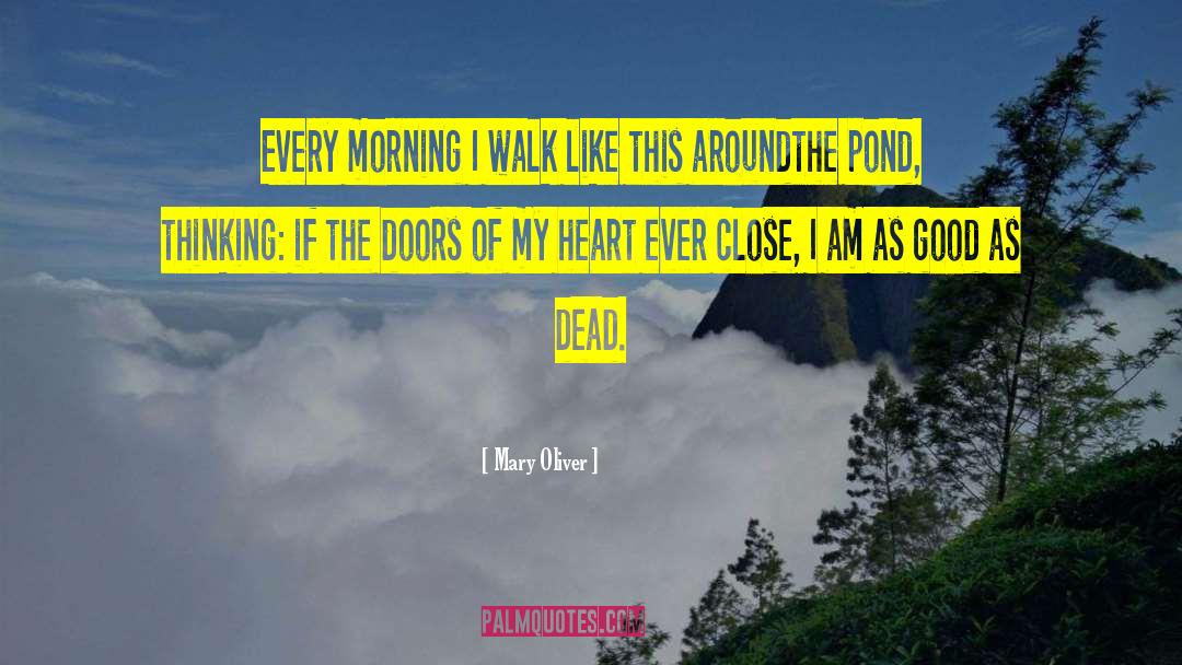 Mary Oliver Quotes: Every morning I walk like