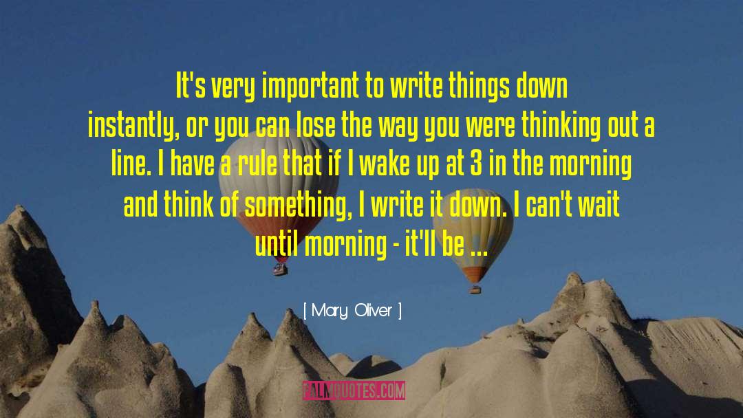 Mary Oliver Quotes: It's very important to write
