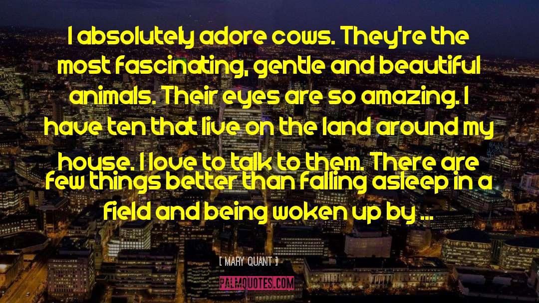 Mary Quant Quotes: I absolutely adore cows. They're