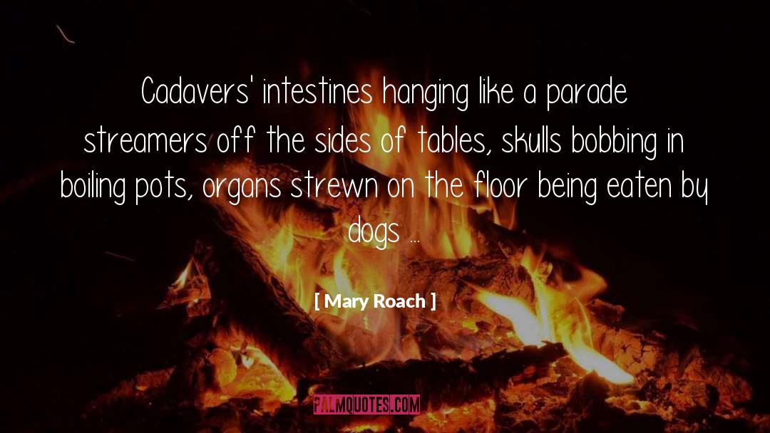 Mary Roach Quotes: Cadavers' intestines hanging like a