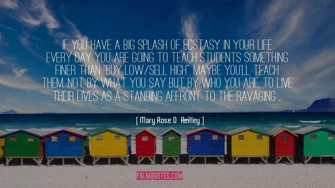 Mary Rose O'Reilley Quotes: If you have a big