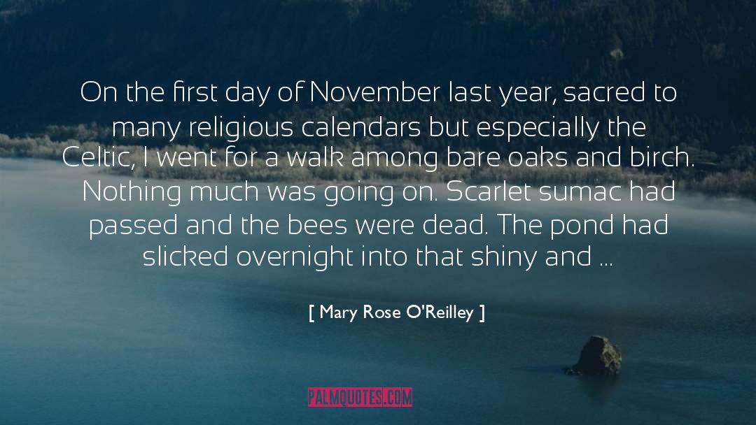 Mary Rose O'Reilley Quotes: On the first day of