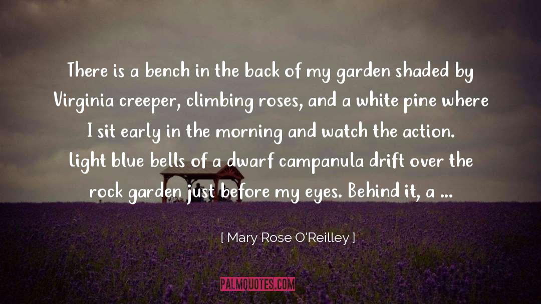 Mary Rose O'Reilley Quotes: There is a bench in
