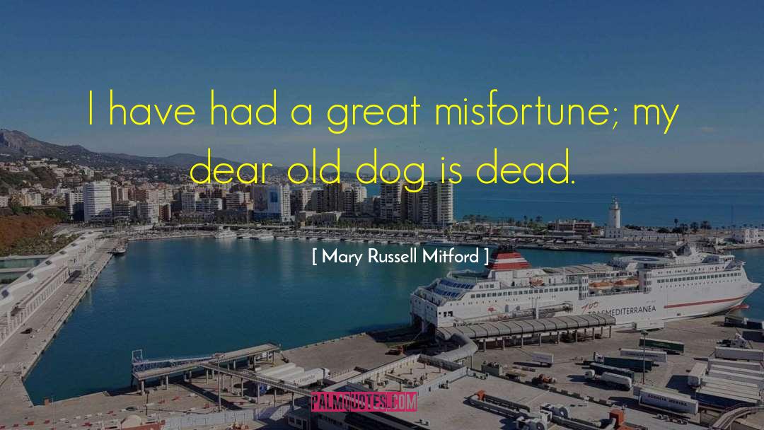 Mary Russell Mitford Quotes: I have had a great