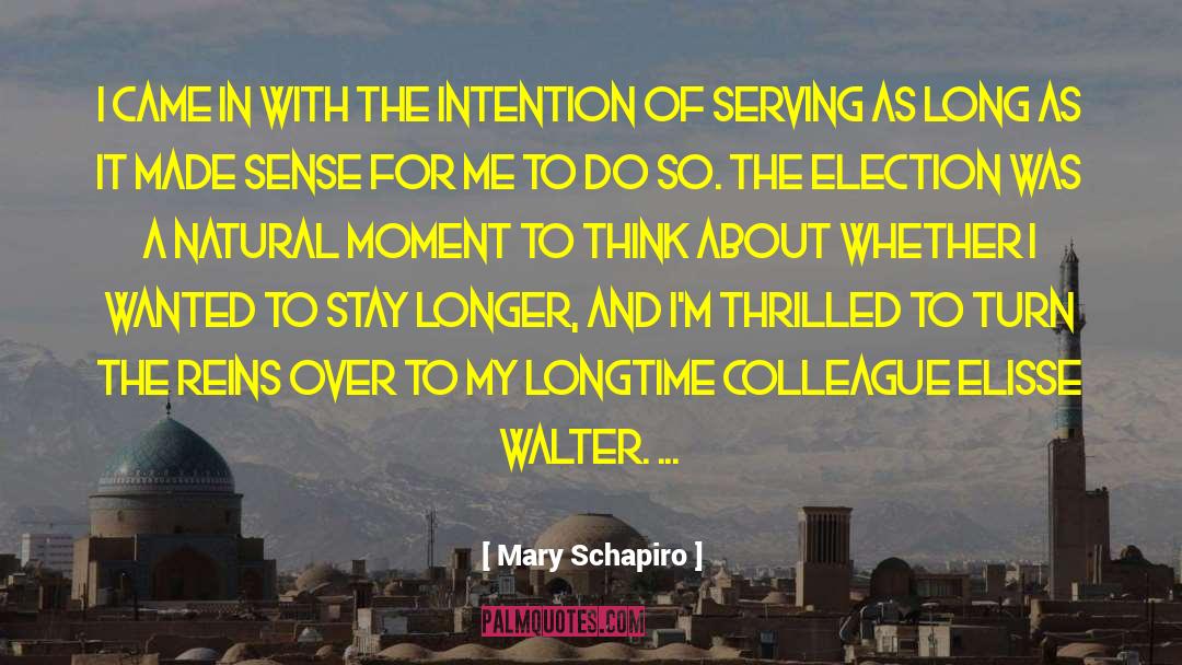 Mary Schapiro Quotes: I came in with the