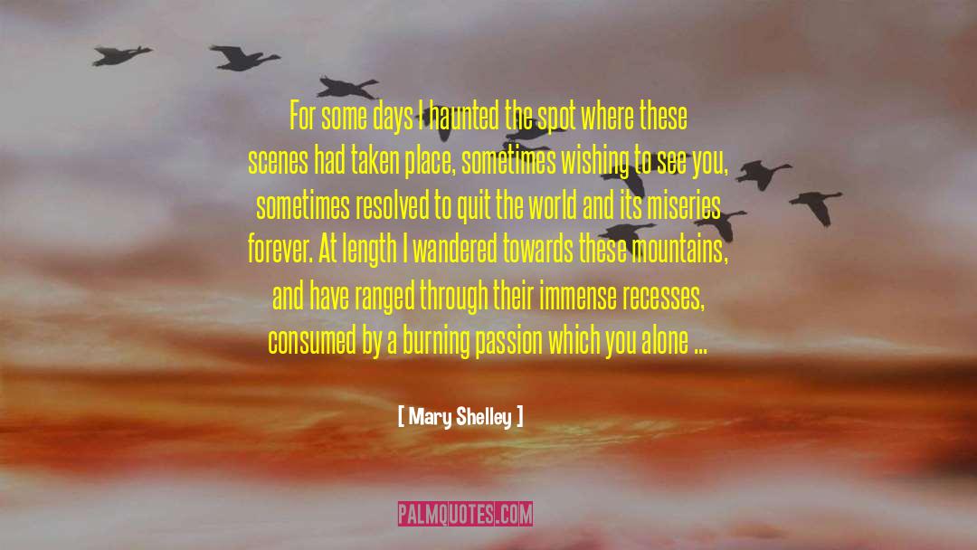 Mary Shelley Quotes: For some days I haunted
